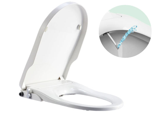 Bidet Toilet