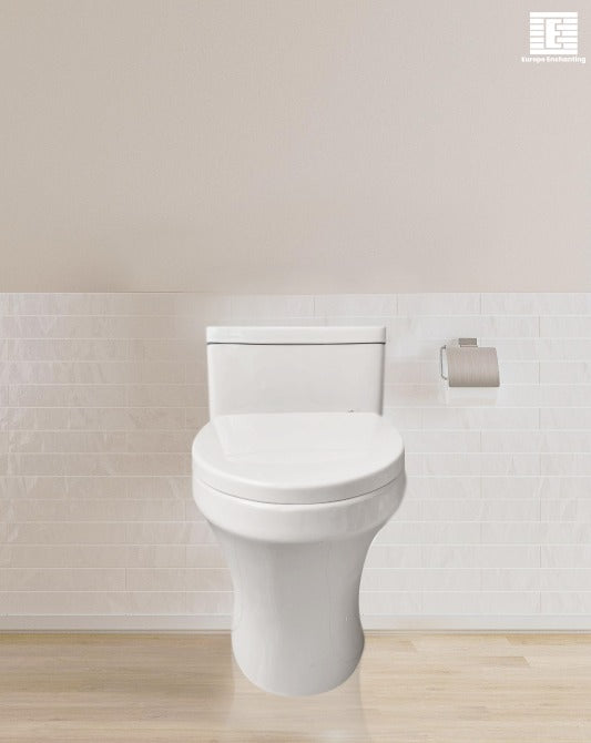 One-Piece Toilet