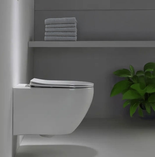 Ragu Sama Toilet Gantung? Tenang, Ikuti Saja Panduan Ini untuk Tahu Cara Merawatnya!