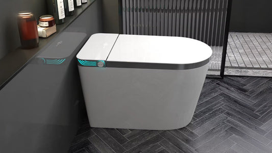 Enam Alasan Penting Kenapa Kamu Perlu Upgrade ke Smart Toilet E009N!