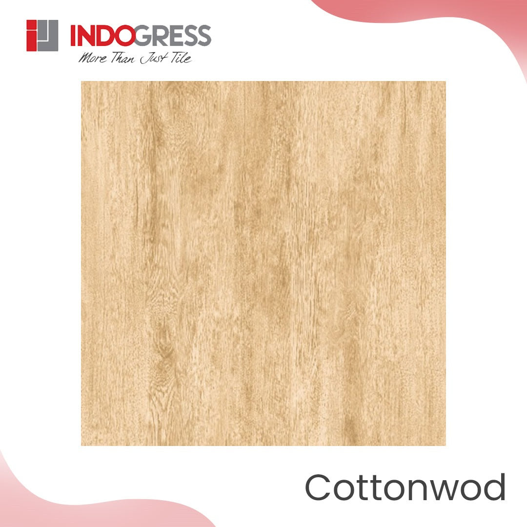 Granite Tile Indogress 60x60 Grade KW2