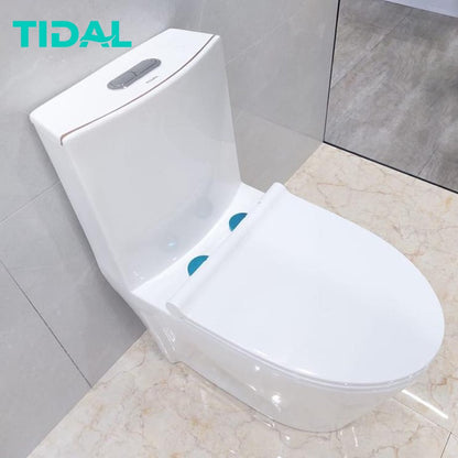 Toilet / Kloset Duduk Keramik Tidal TD087