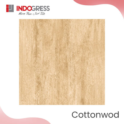 Granite Tile Indogress 60x60 Grade KW2