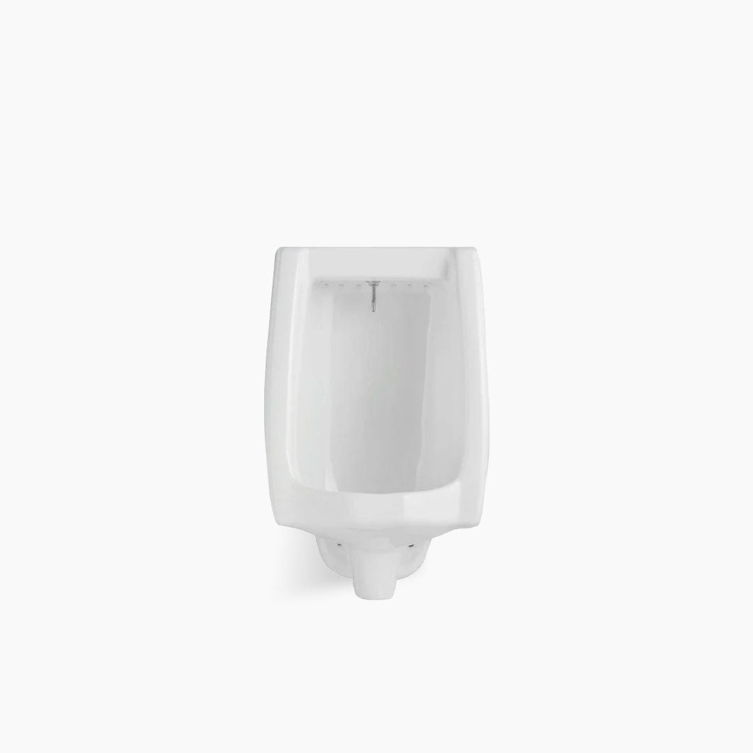 Enchanting Urinal Toilet E1322