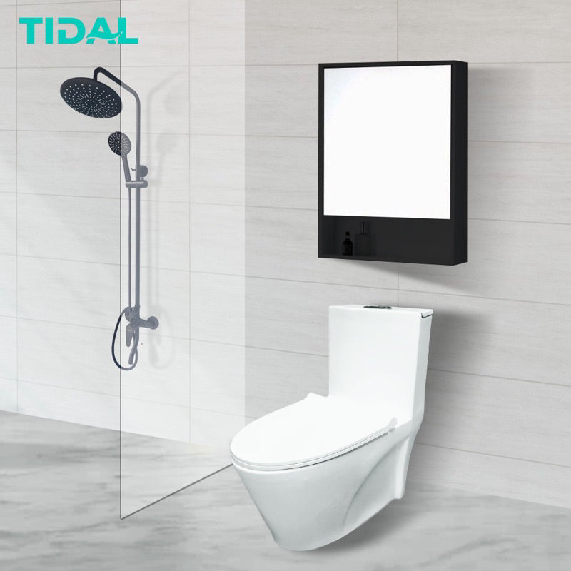 Cermin Kabinet Kamar Mandi Tidal TD062