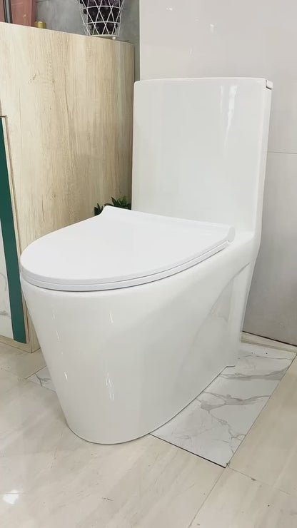 Toilet / Kloset Duduk Keramik Tidal TD087