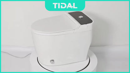 TIDAL Toilet Kloset Duduk Soft Close Powerful Flush Tidal TD133